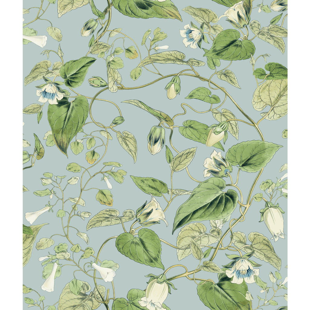 Kravet Design - W4132-153 Light Blue | Kravet Design | Blooms Second Edition Resource Library | Botanical & Floral Wallcovering Print