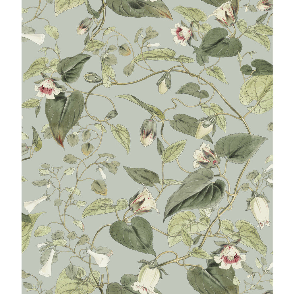 Kravet Design - W4132-311 Grey | Kravet Design | Blooms Second Edition Resource Library | Botanical & Floral Wallcovering Print