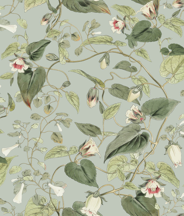 W4132 Grey — Kravet
