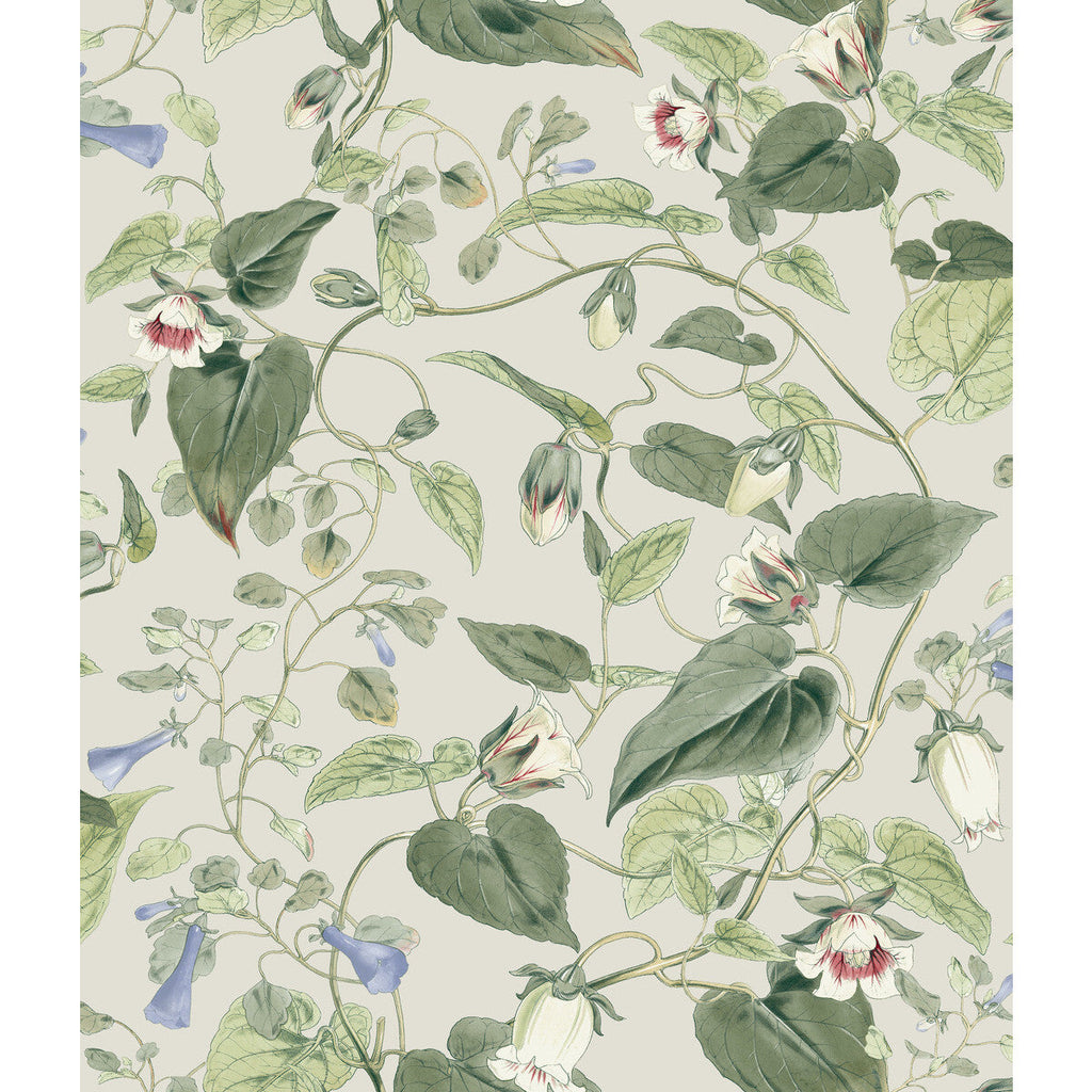 Kravet Design - W4132-315 Taupe | Kravet Design | Blooms Second Edition Resource Library | Botanical & Floral Wallcovering Print
