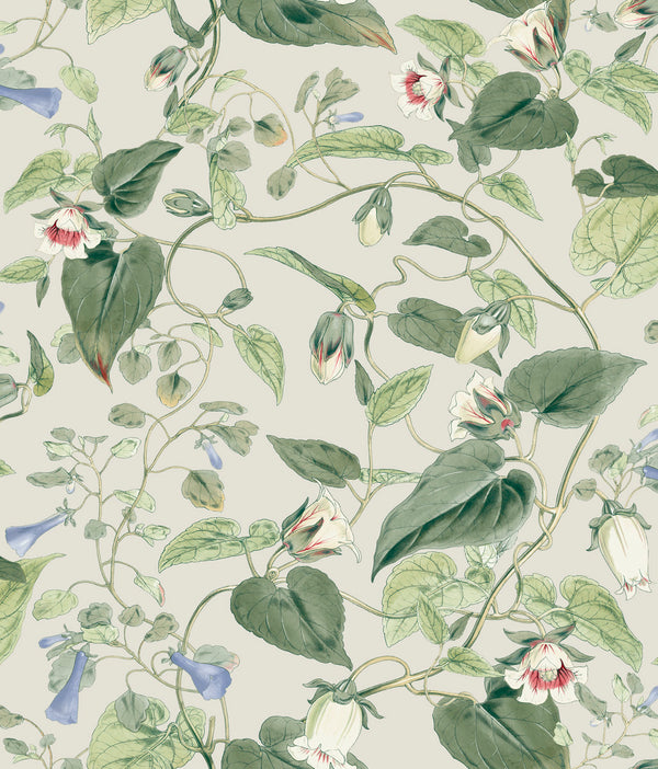 W4132 Taupe — Kravet