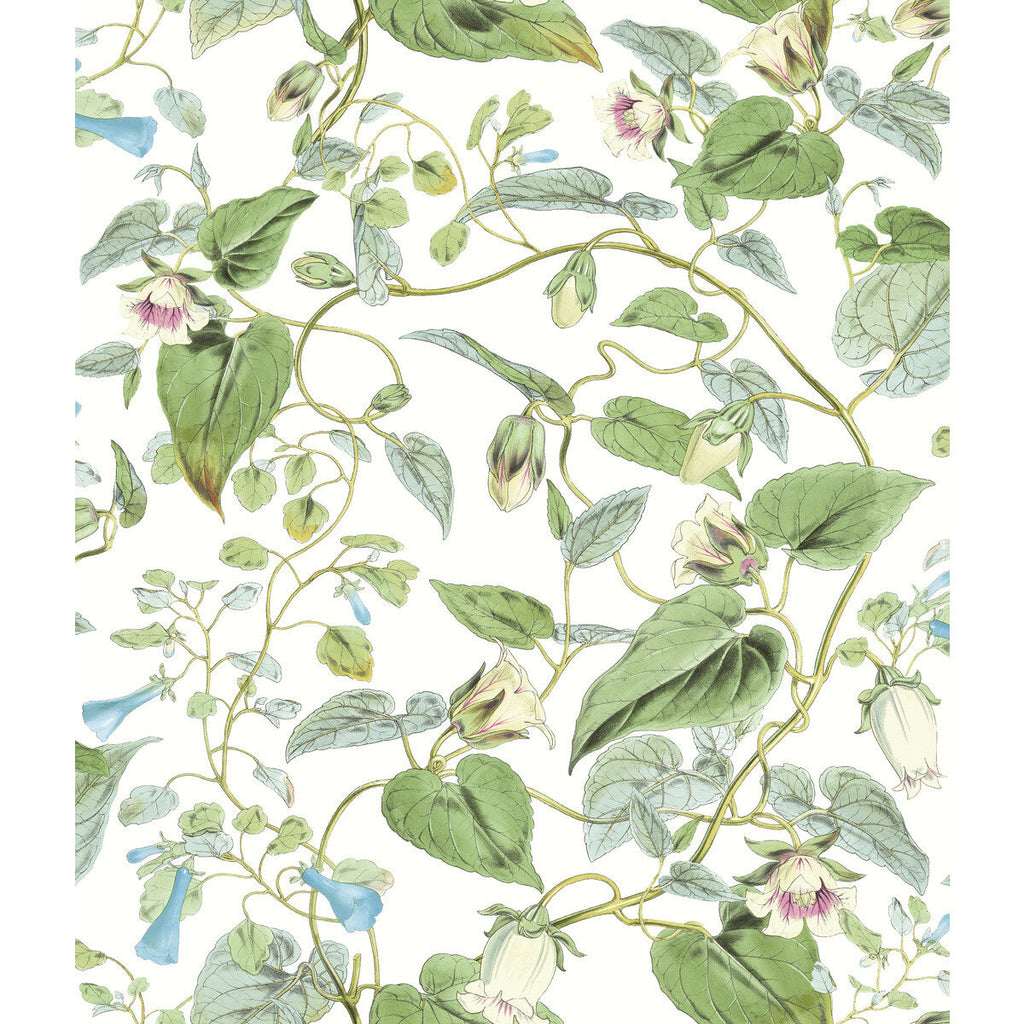 Kravet Design - W4132-31 Green | Kravet Design | Blooms Second Edition Resource Library | Botanical & Floral Wallcovering Print