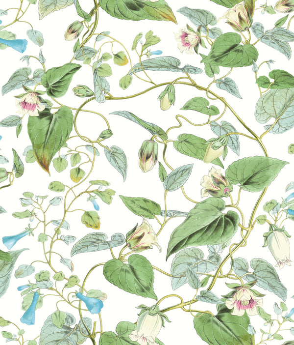 W4132 Green — Kravet