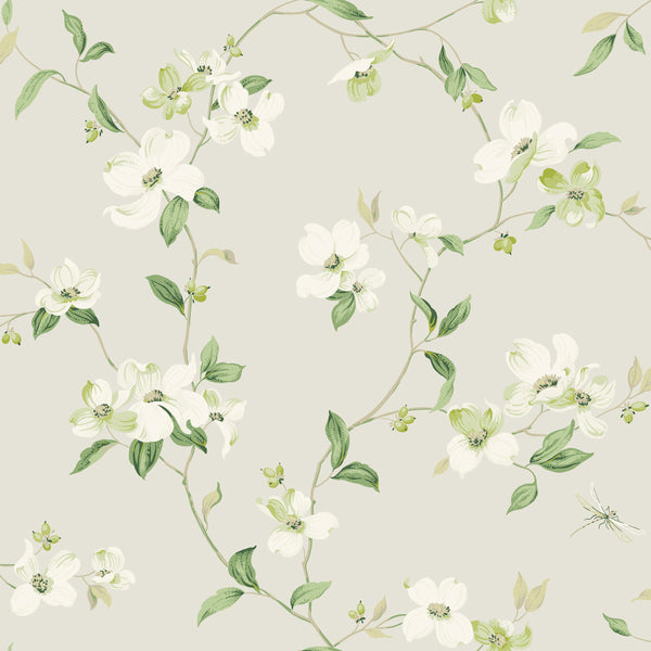W4137 Taupe — Kravet