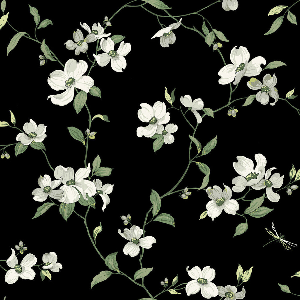 Kravet Design - W4137-830 Black | Kravet Design | Blooms Second Edition Resource Library | Botanical & Floral Wallcovering Print