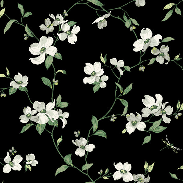 W4137 Black — Kravet