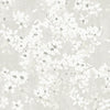 Tiami, Alumina