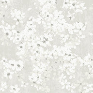 Tiami, Alumina