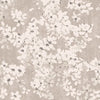 Tiami, Alumina