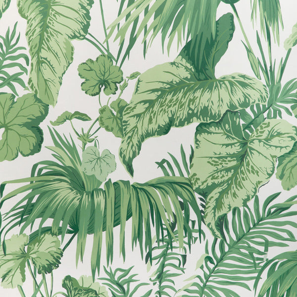 Yasuni Wp - Verde Green | Kravet Couture | Casa Botanica Wallcovering | Botanical & Floral Wallcovering Print