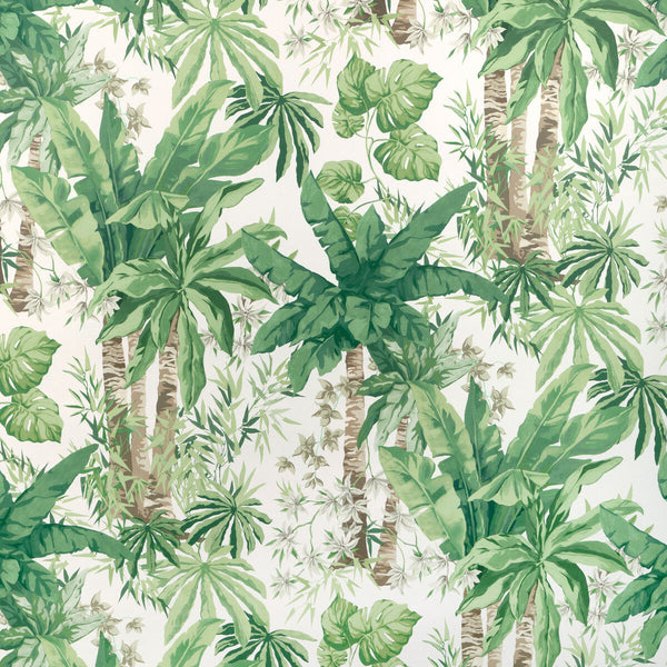 Junglewood Wp - Verde Green | Kravet Couture | Casa Botanica Wallcovering | Botanical & Floral Wallcovering Print