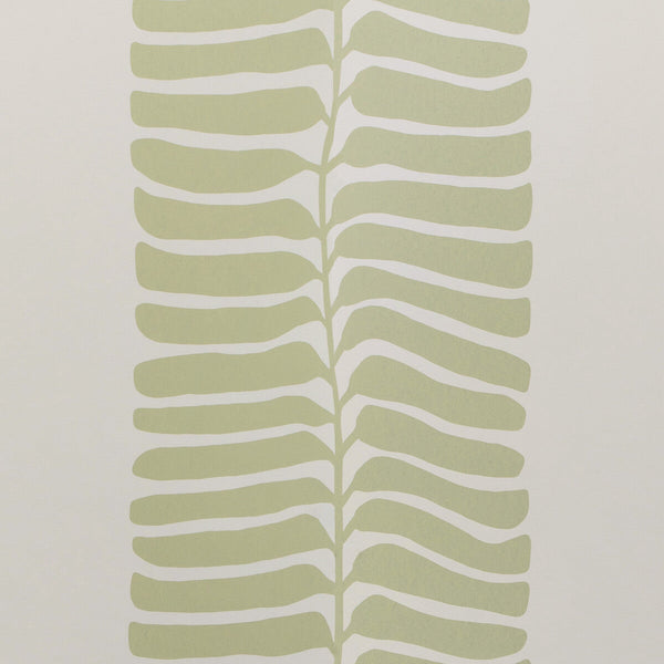 Rio Vine Wp - Citron Celery | Kravet Couture | Casa Botanica Wallcovering | Botanical & Floral Wallcovering Print
