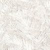 Areca, Hummingbird