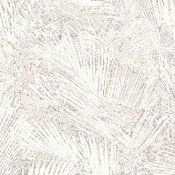 Areca, Hummingbird