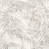 Areca, Hummingbird