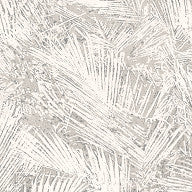 Areca, Hummingbird