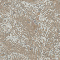 Areca, Hummingbird