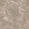 Areca, Hummingbird