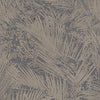 Areca, Hummingbird