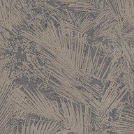 Areca, Hummingbird