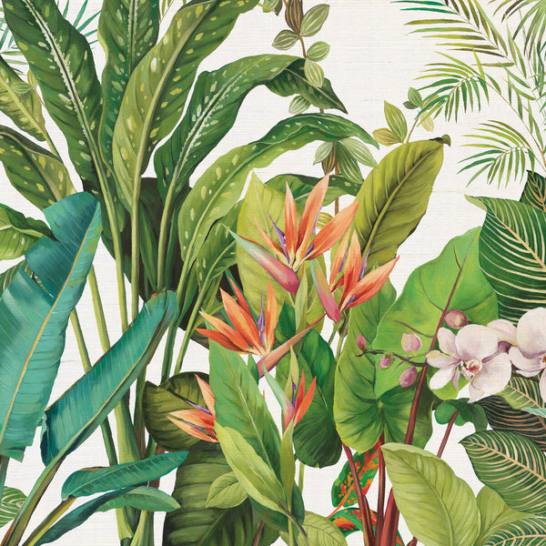 Kravet Design - W4181-312 Orange | Kravet Design | Panel Designs | Botanical & Floral Wallcovering Grasscloth