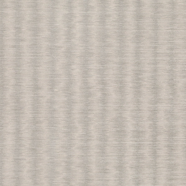 Kutai Silver Birch