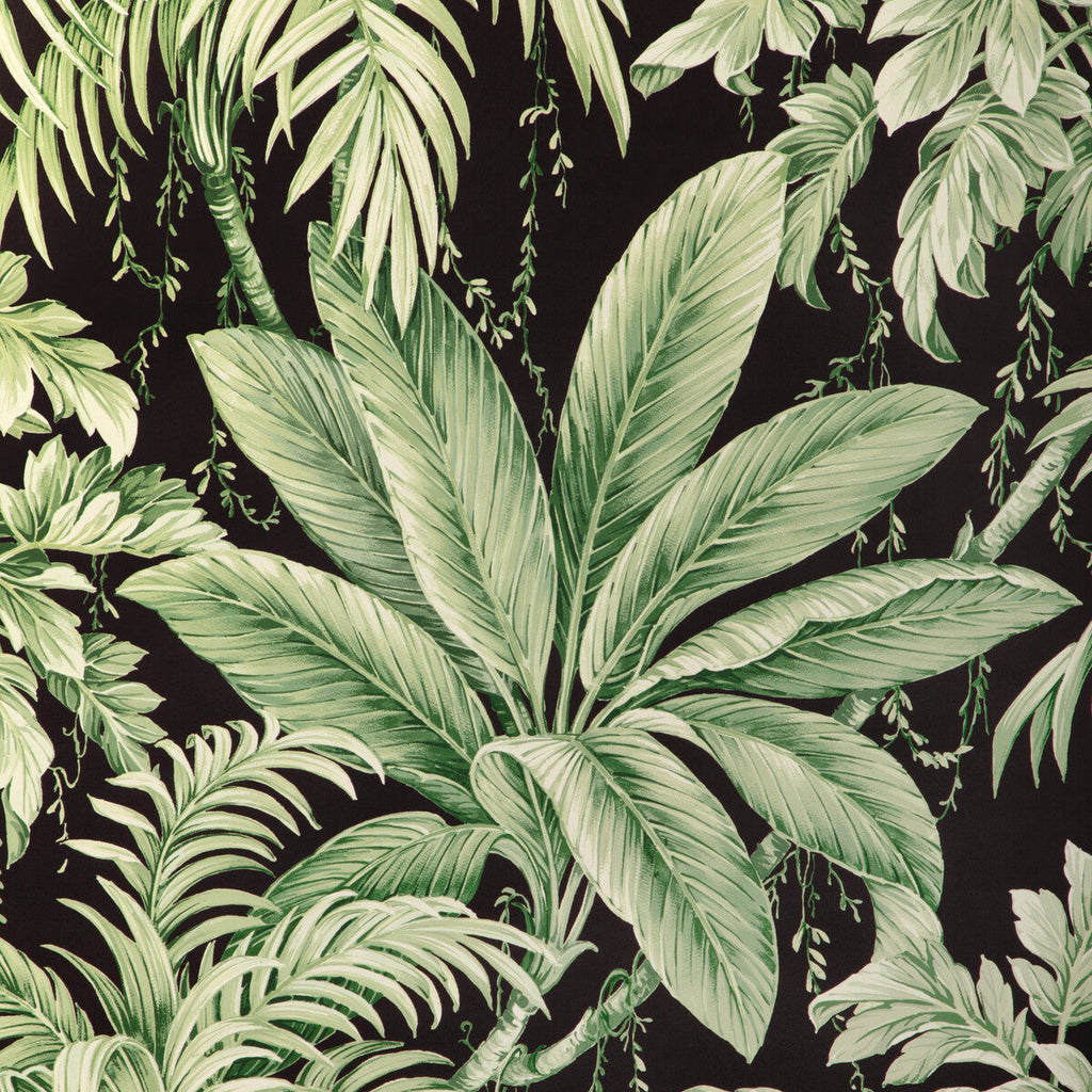 Kravet Design - W4190-830 Black | Kravet Design | Studio Collection | Botanical & Floral Wallcovering Print