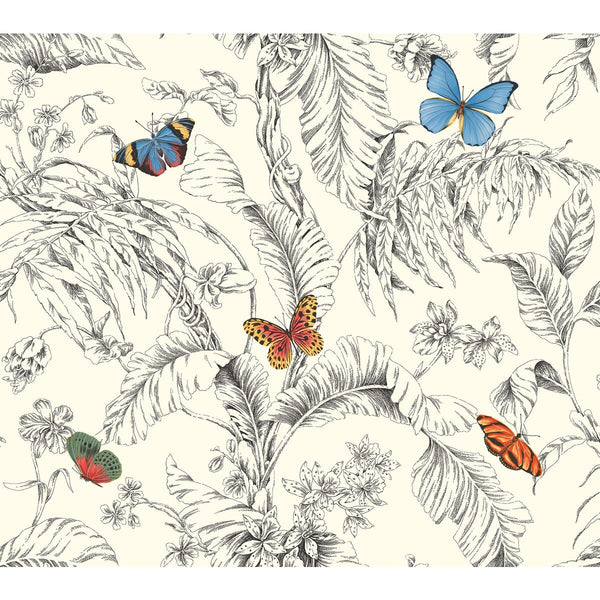 Kravet Design - W4234-814 Black Wallcovering | Kravet