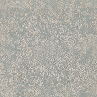 Nyiri, Silver Blue