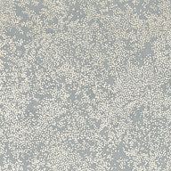 Nyiri, Silver Blue