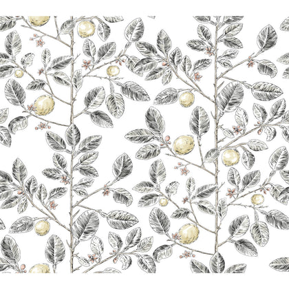 Kravet Design - W4241-21 Charcoal Wallcovering | Kravet