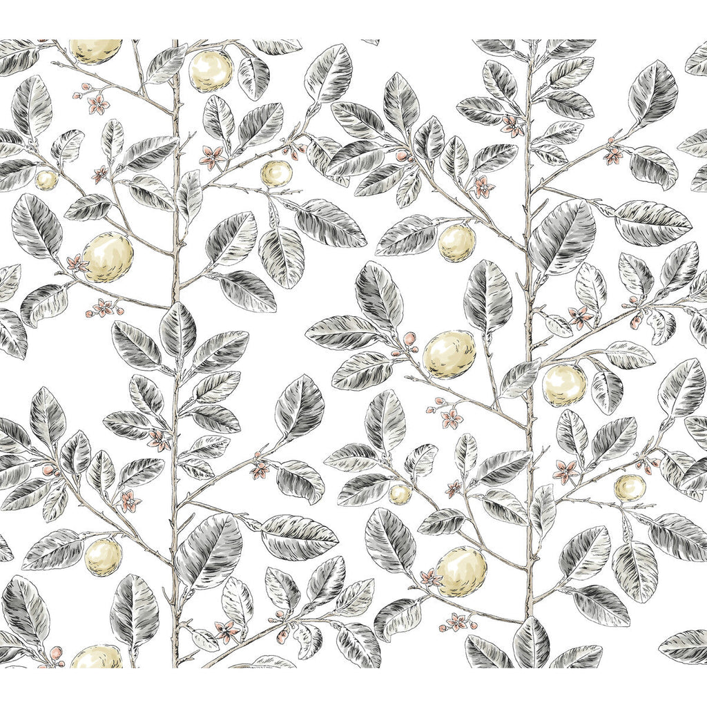 Kravet Design - W4241-21 Charcoal | Kravet Design | Toiles Resource Library | Botanical & Floral Wallcovering Print