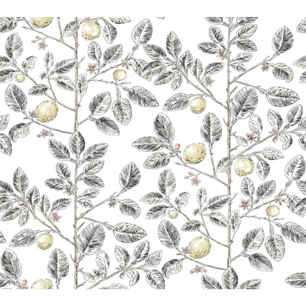 Kravet Design - W4241-21 Charcoal | Kravet Design | Toiles Resource Library | Botanical & Floral Wallcovering Print