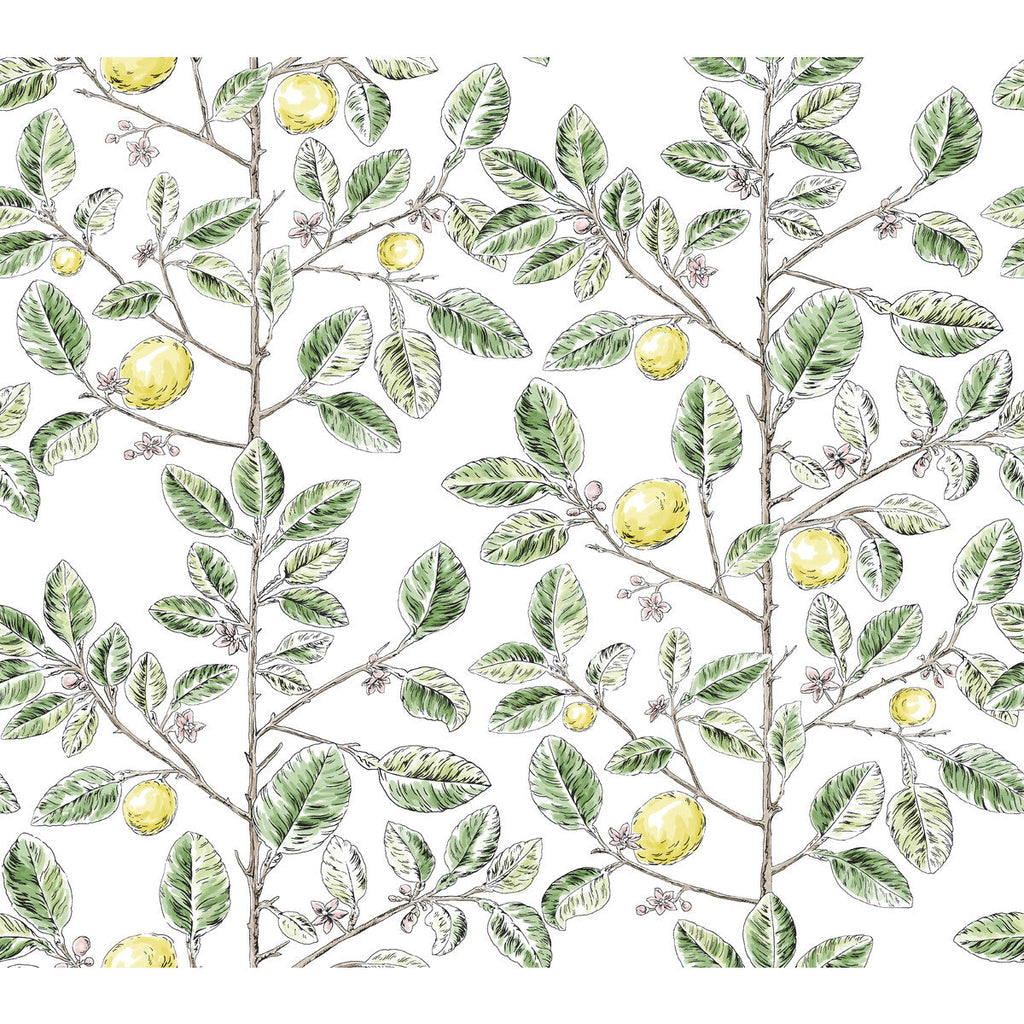 Kravet Design - W4241-340 Green | Kravet Design | Toiles Resource Library | Botanical & Floral Wallcovering Print