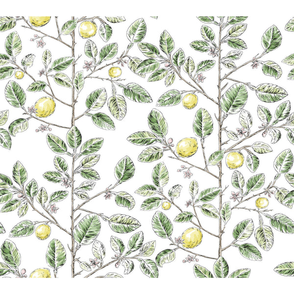 Kravet Design - W4241-340 Green | Kravet Design | Toiles Resource Library | Botanical & Floral Wallcovering Print