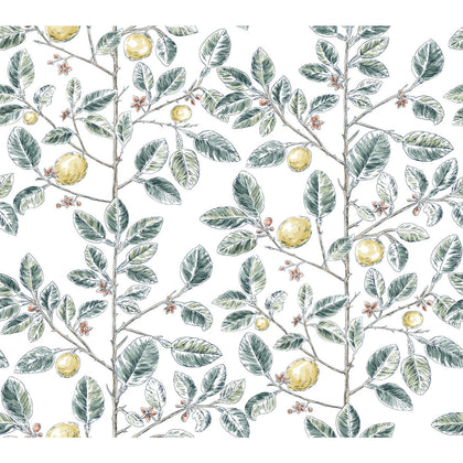 Kravet Design - W4241-354 Green Wallcovering | Kravet