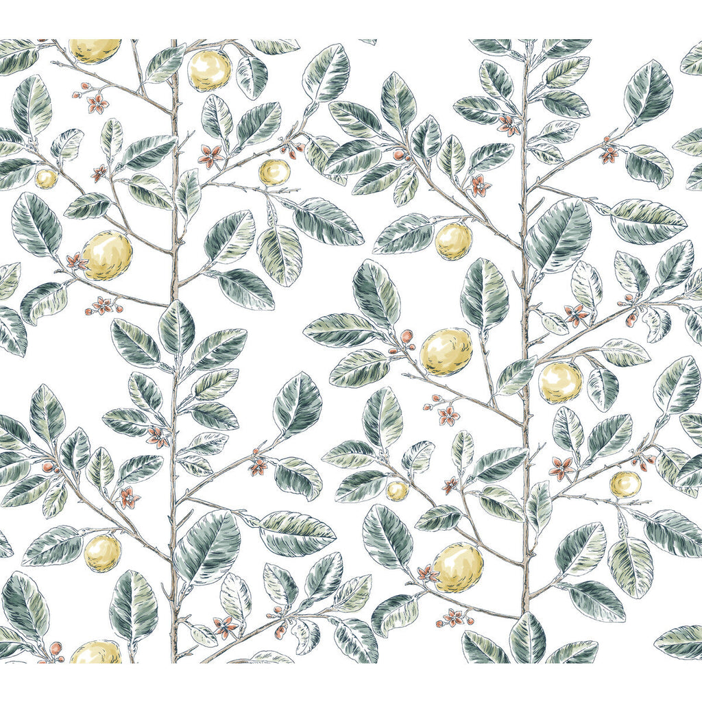 Kravet Design - W4241-354 Green | Kravet Design | Toiles Resource Library | Botanical & Floral Wallcovering Print