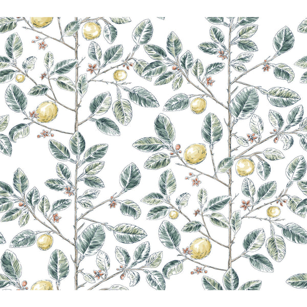 Kravet Design - W4241-354 Green | Kravet Design | Toiles Resource Library | Botanical & Floral Wallcovering Print