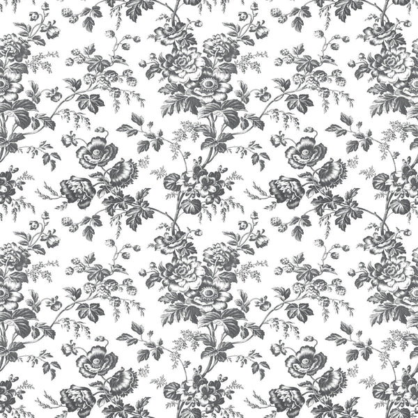 W4243-8 Black | Kravet Design | Toiles Resource Library | Botanical & Floral Wallcovering Print