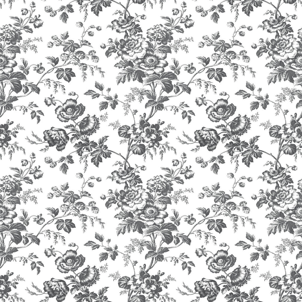 Kravet Design - W4243-8 Black | Kravet Design | Toiles Resource Library | Botanical & Floral Wallcovering Print
