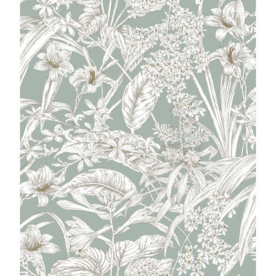 Kravet Design - W4248-13 Turquoise | Kravet Design | Toiles Resource Library | Botanical & Floral Toile Wallcovering Print