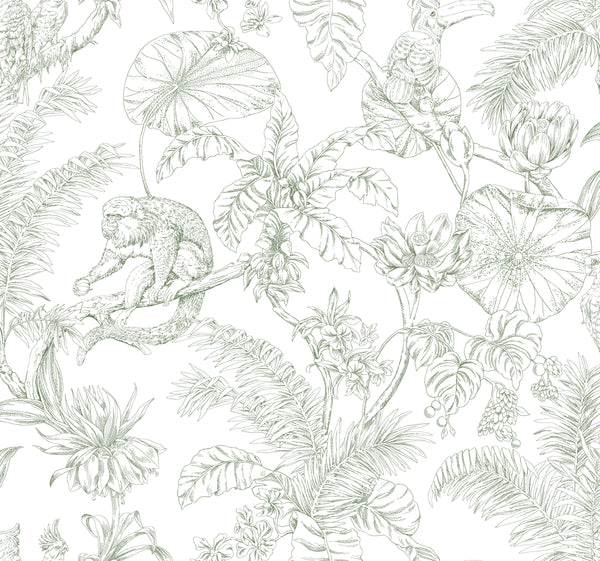 Kravet Design - Sage Green Wallcovering | Kravet