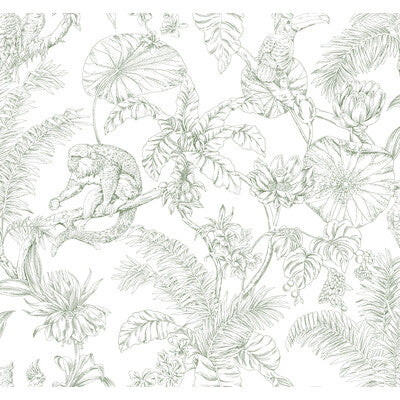 Kravet Design - W4250-31 Green | Kravet Design | Toiles Resource Library | Animal/Insects Botanical & Floral Wallcovering Print
