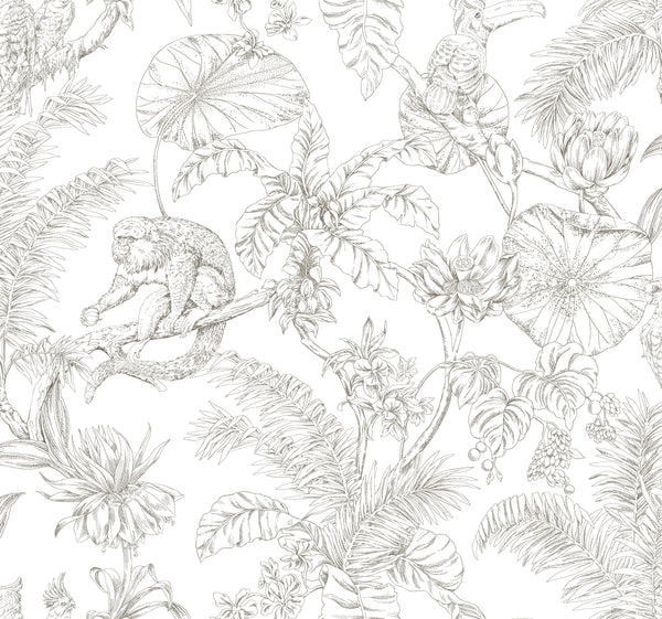W4250-6 Brown | Kravet Design | Toiles Resource Library | Animal/Insects Botanical & Floral Wallcovering Print