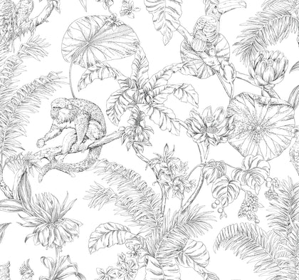 W4250-8 Black | Kravet Design | Toiles Resource Library | Animal/Insects Botanical & Floral Wallcovering Print