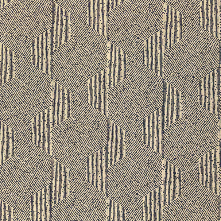Escher, Carbon