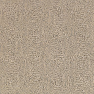 Escher, Andesite
