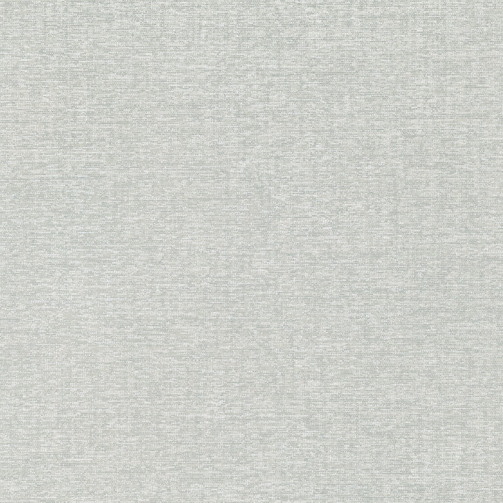 Elkin Gull, Grey