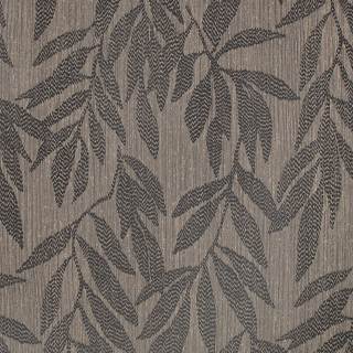Lyra, Pacific