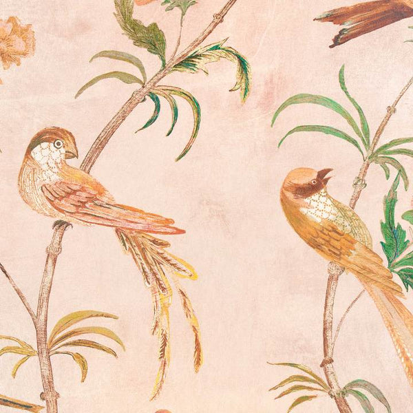 Pluma - Blush Wallcovering | Romo